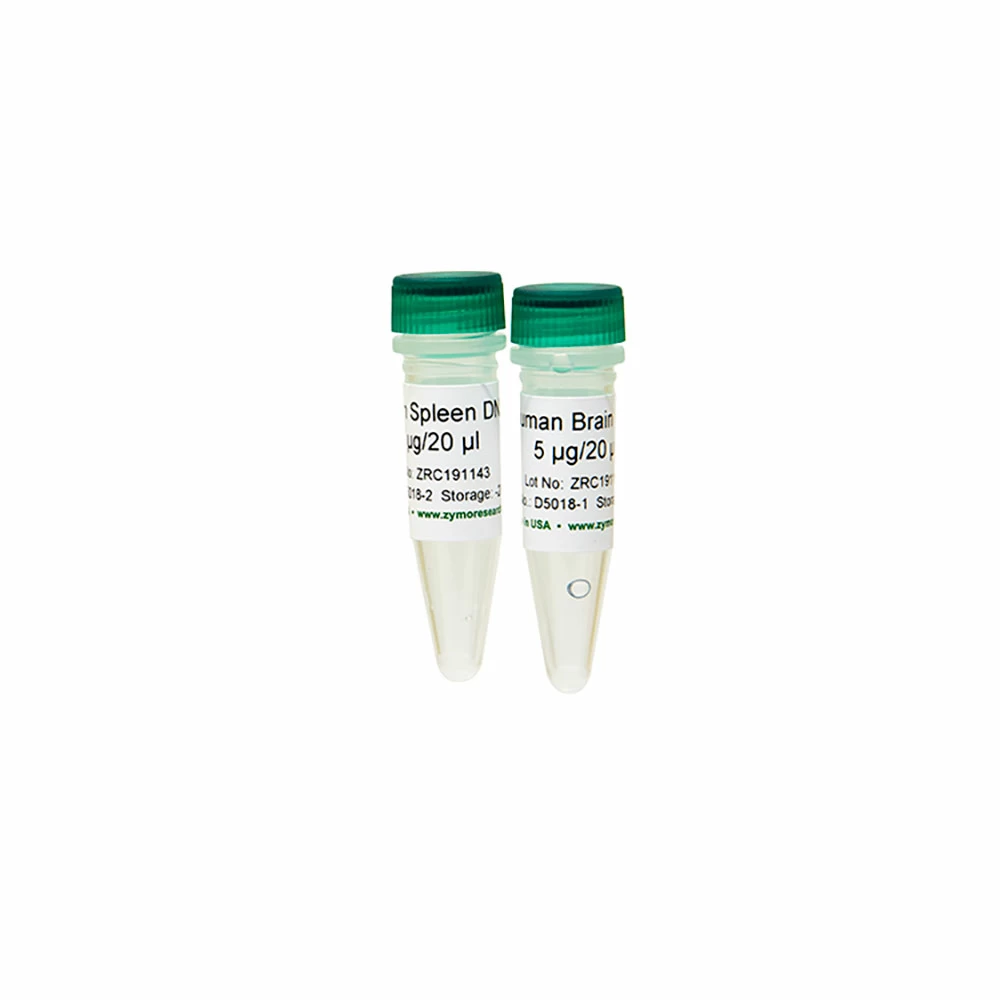 Zymo Research D5018-1 Human Brain DNA, Zymo Research, 5 ug/Unit primary image