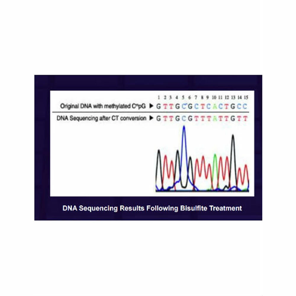 Zymo Research D5043 EZ-96 DNA Methylation-Gold  Kit, MagPrep, 8 x 96 Rxns/Unit secondary image