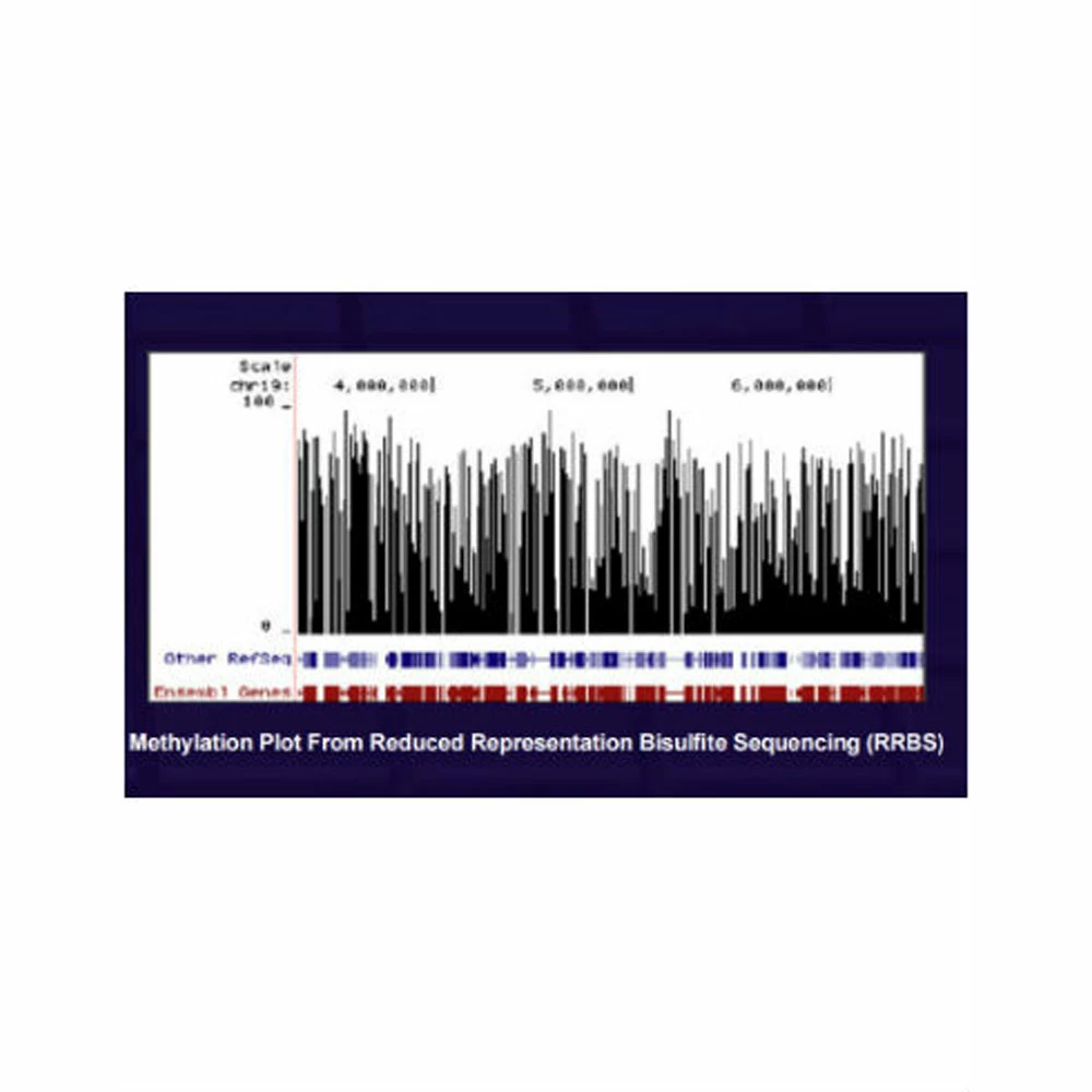 Zymo Research D5047 EZ-96 DNA Methylation-Lightning Kit, MagPrep, 8 x 96 Rxns/Unit quaternary image