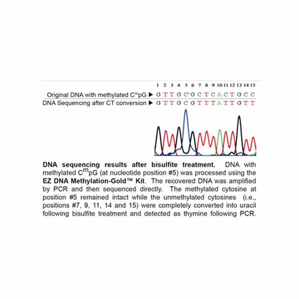 Zymo Research D5005 EZ DNA Methylation-Gold Kit, Zymo Research, 50 Rxns/Unit secondary image