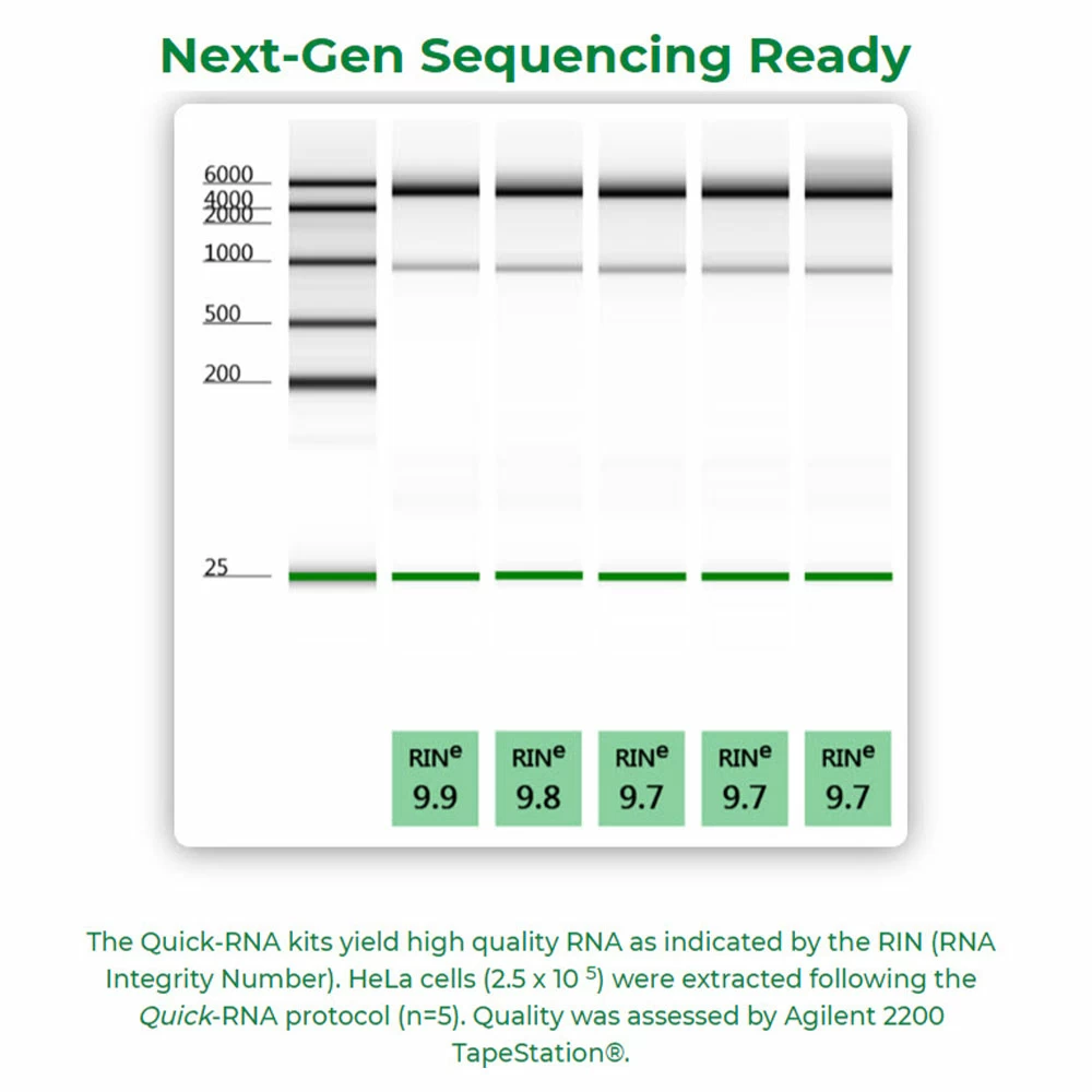 Zymo Research R1050 Quick-RNA MicroPrep Kit, Zymo Research, 50 Preps/Unit tertiary image