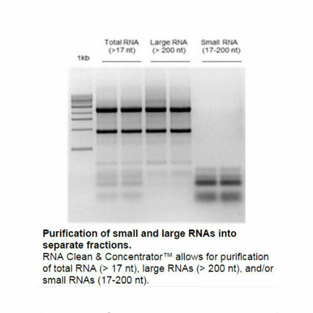 Zymo Research R1016 RNA Clean & Concentrator-5, Zymo Research Kit, 200 Preps/Unit tertiary image