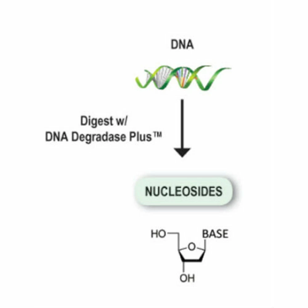 Zymo Research E2021 DNA Degradase Plus, Zymo Research, 1000 U/Unit secondary image