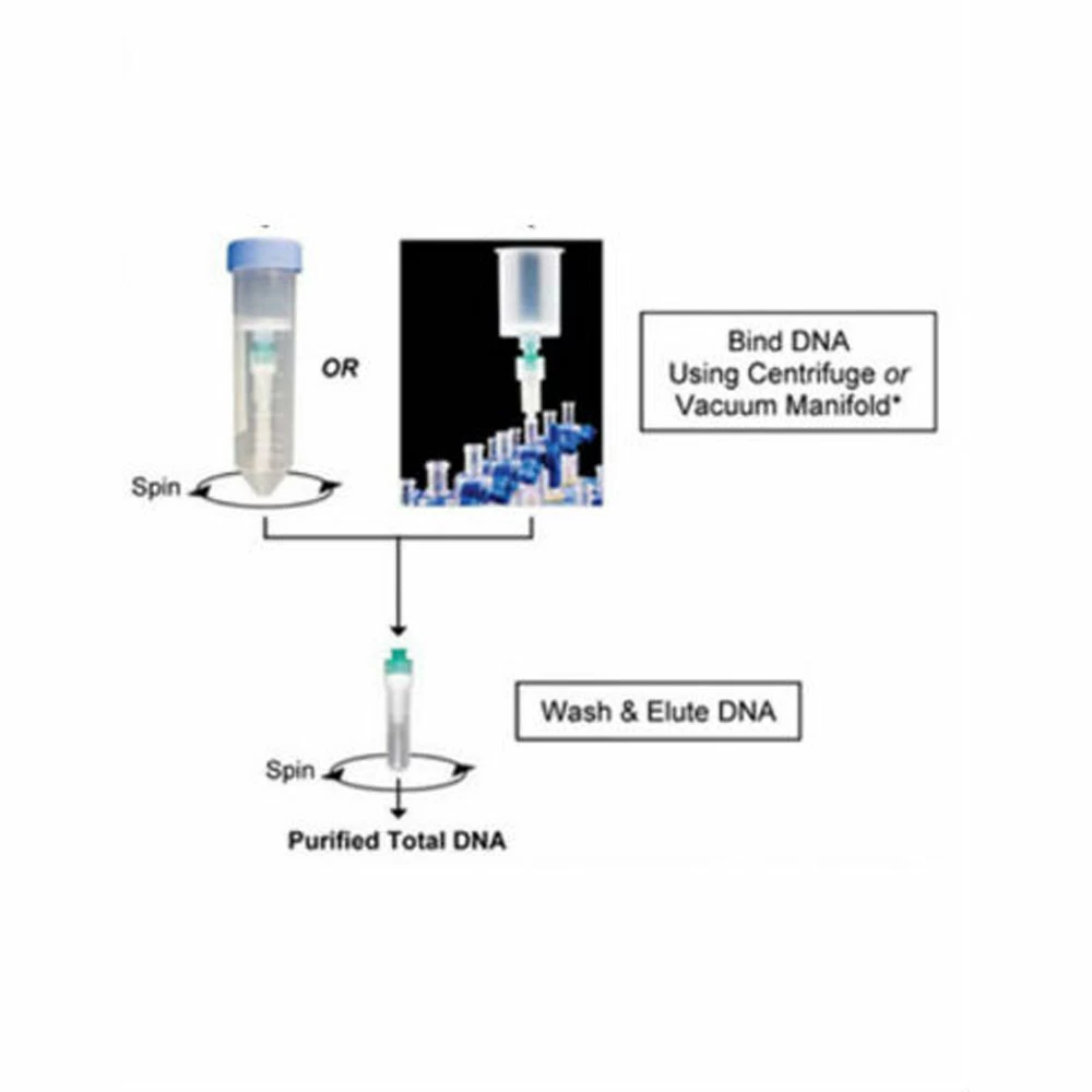 Zymo Research D6110 Quick-DNA Fecal/Soil Midiprep Kit, Zymo Research, 25 Preps/Unit tertiary image