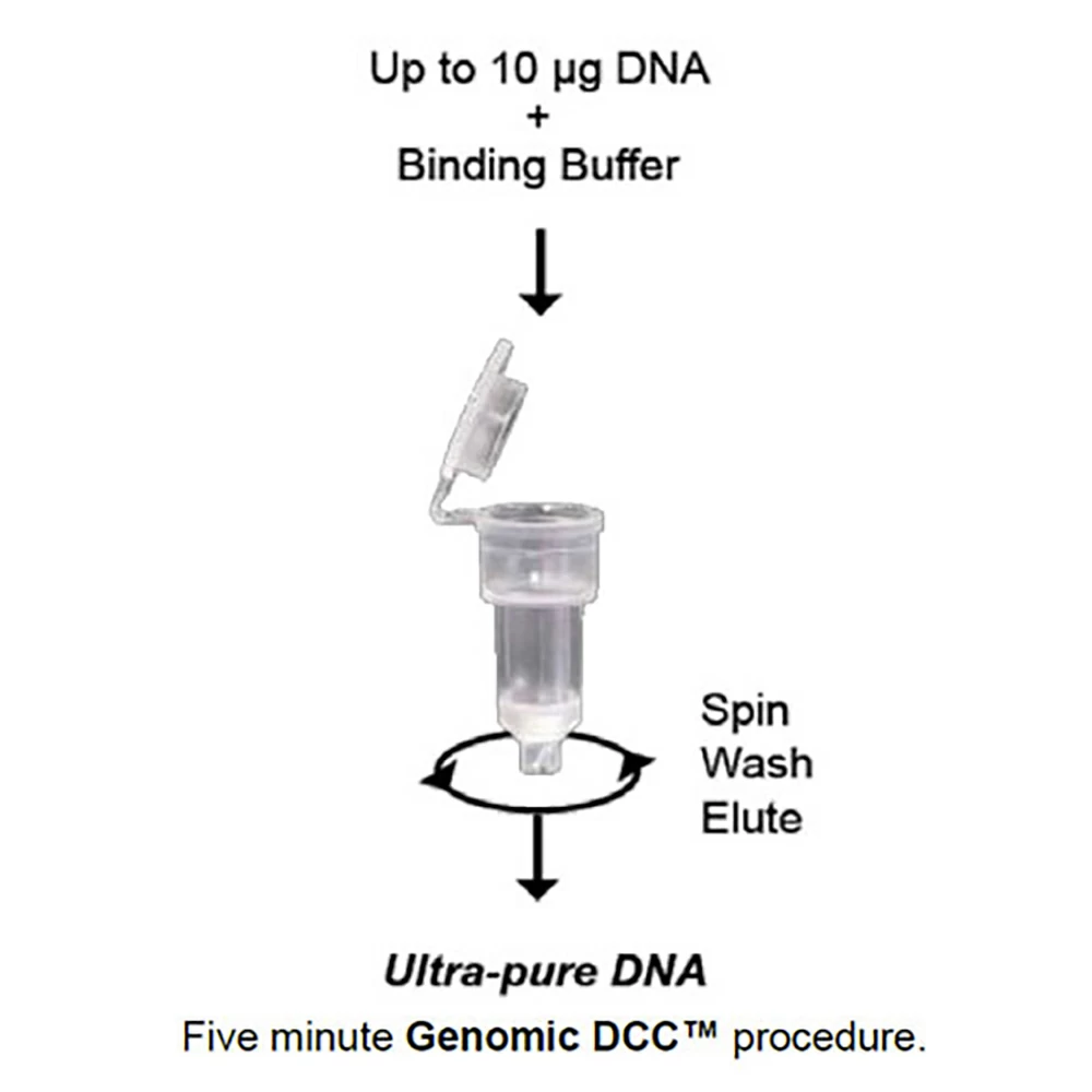 Zymo Research D4010 Genomic DNA Clean & Concentrator-10, Zymo Research, 25 Preps/Unit secondary image