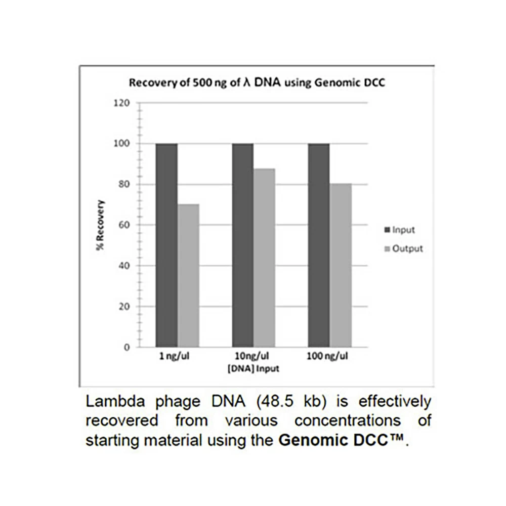 Zymo Research D4010 Genomic DNA Clean & Concentrator-10, Zymo Research, 25 Preps/Unit tertiary image