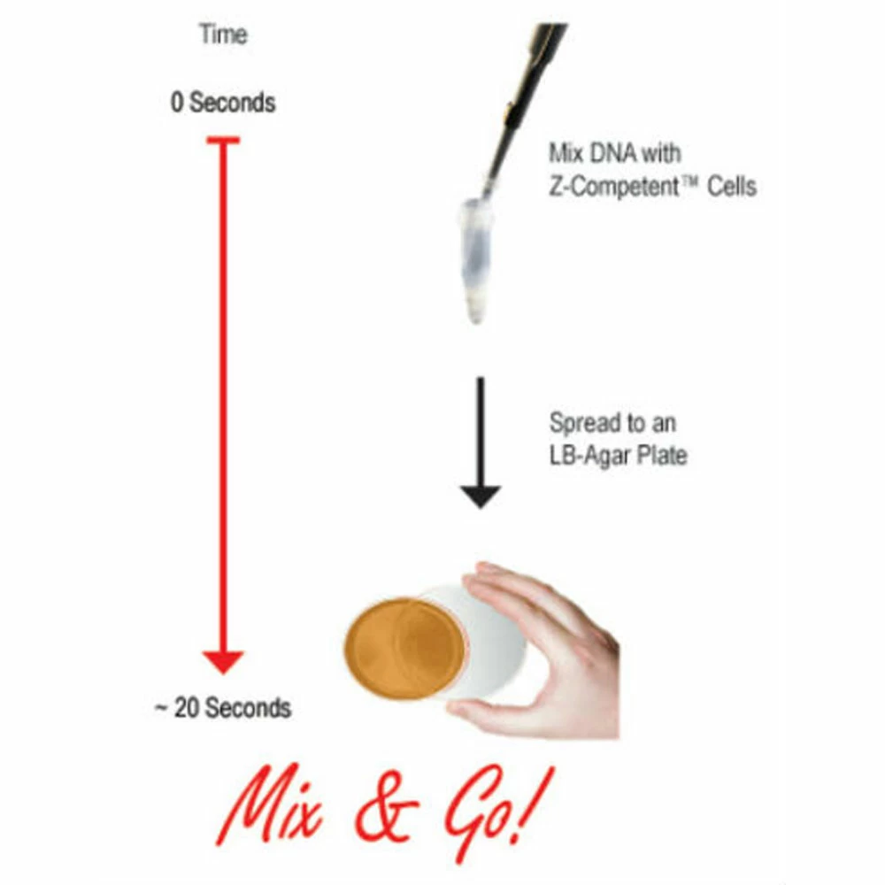 Zymo Research T3002 Mix & Go! E.coli Transformation Buffer Set, Zymo Research, up to 60 ml/Unit secondary image