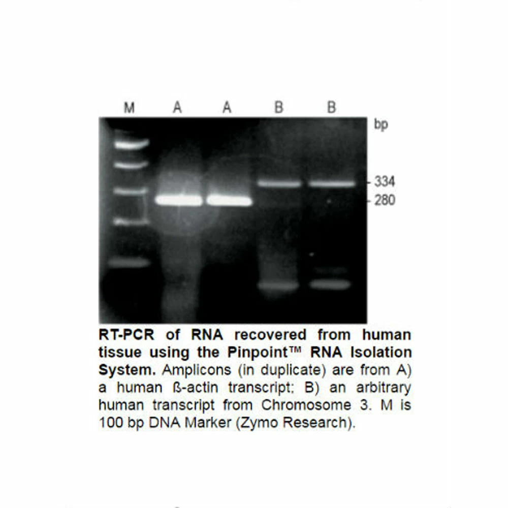 Zymo Research R1003 Pinpoint Slide RNA Isolation System I Kit, Zymo Research, 50 Preps/Unit quaternary image
