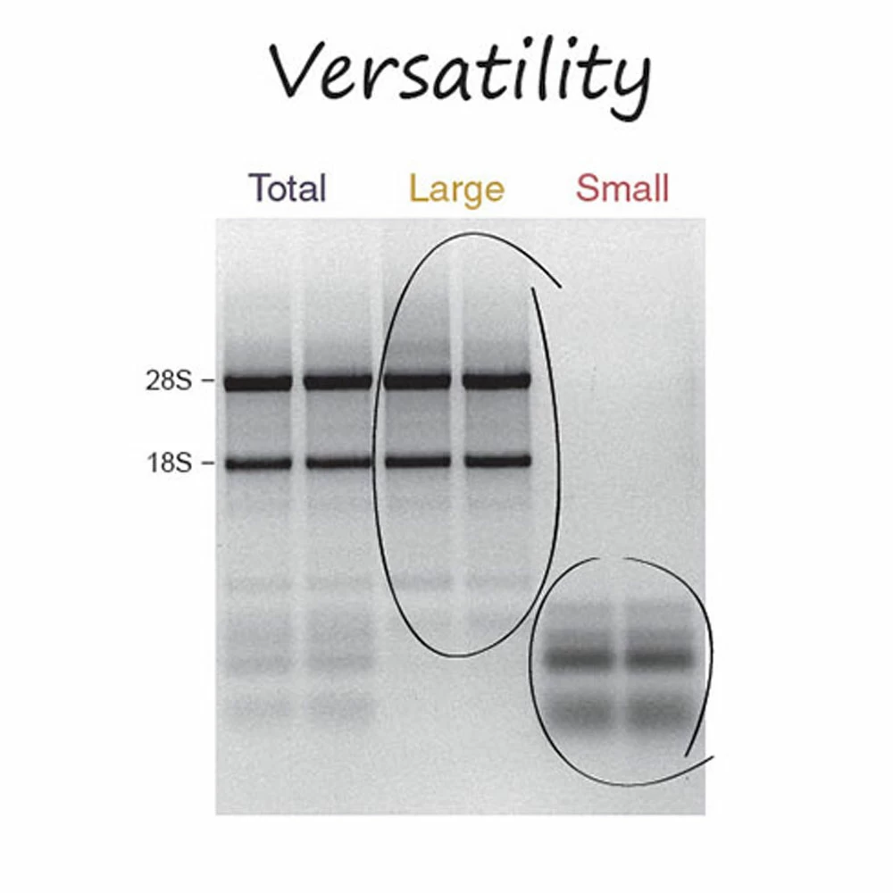 Zymo Research R1056 Quick-RNA MidiPrep Kit, Zymo Research, 25 Preps/Unit secondary image