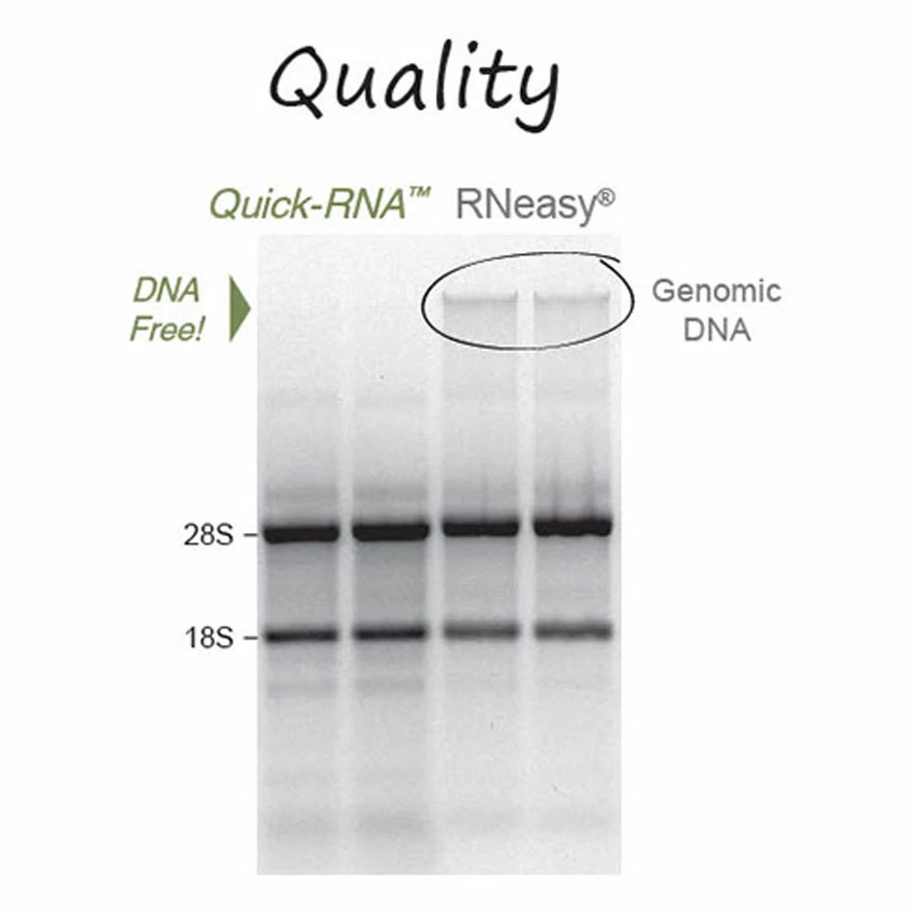 Zymo Research R1053 Quick-RNA 96 Kit, Zymo Research, 4 x 96 Preps/Unit tertiary image