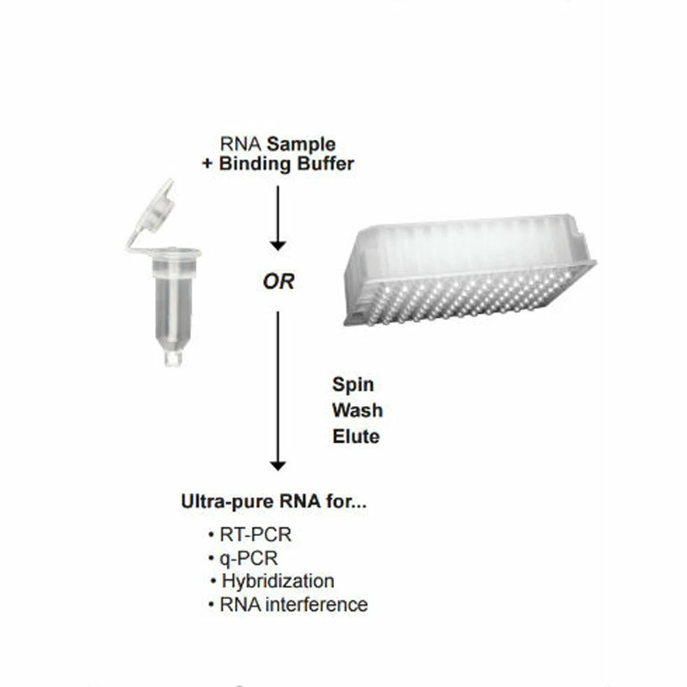 Zymo Research R1080 ZR-96 RNA Clean & Concentrator Kit, Zymo Research, 2 x 96 Preps/Unit secondary image