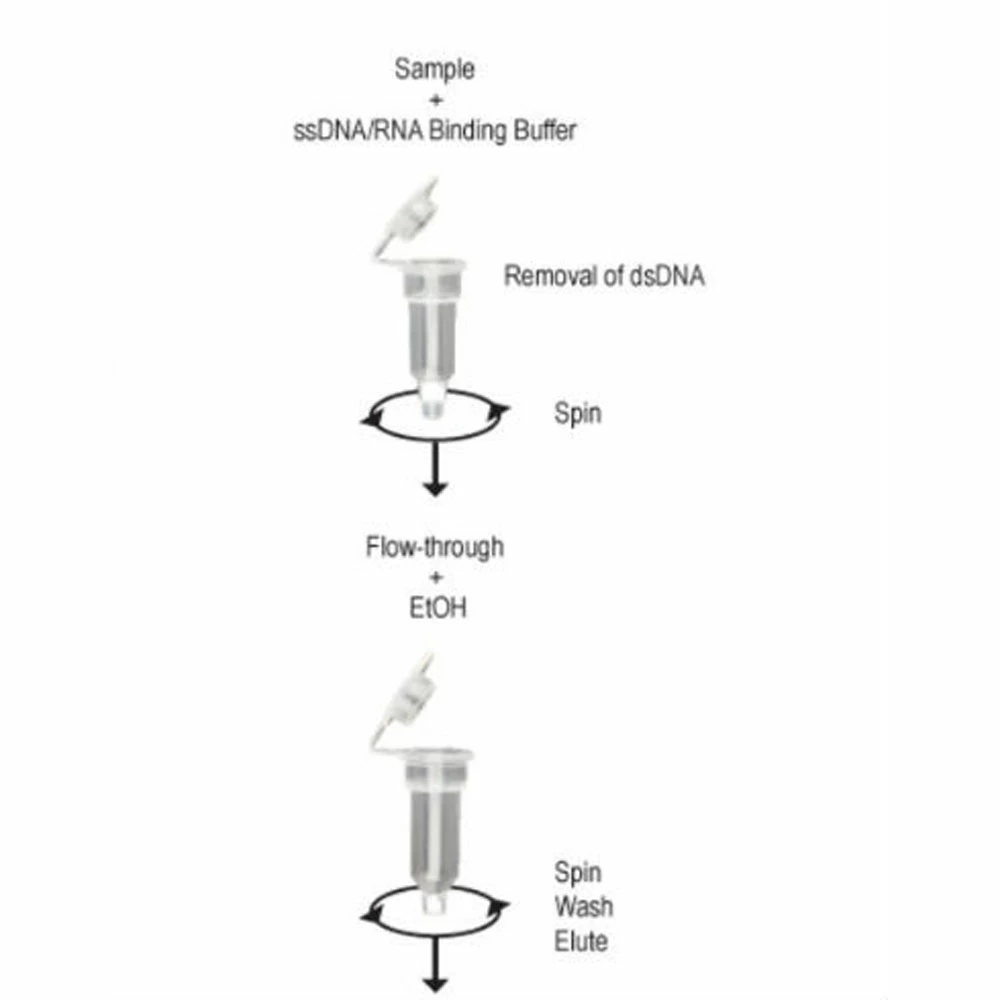 Zymo Research D7010 ssDNA/RNA Clean & Concentrator Kit, Zymo Research, 20 Preps/Unit secondary image