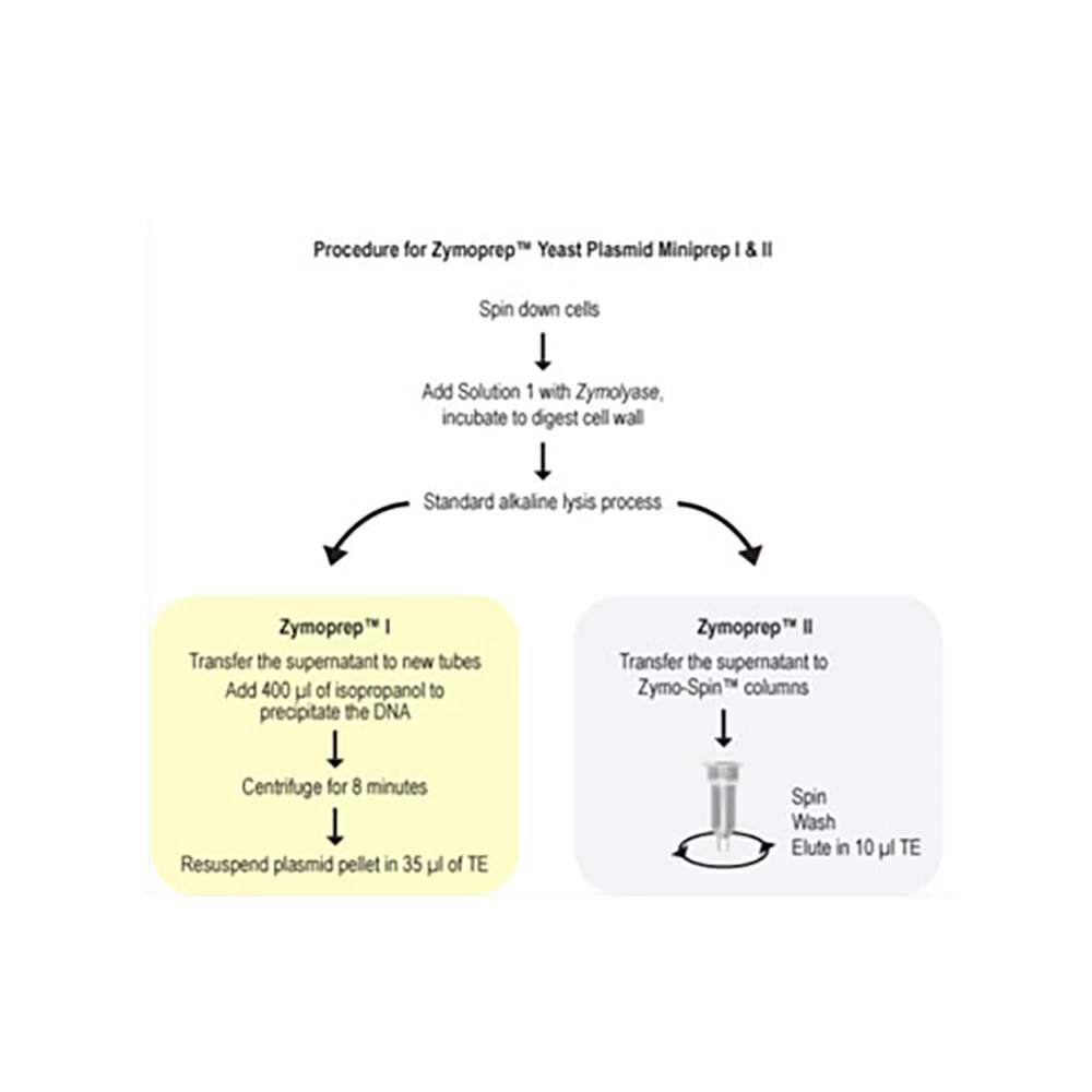 Zymo Research D2001 Yeast Plasmid Miniprep I, Zymoprep, 100 Preps /Unit secondary image