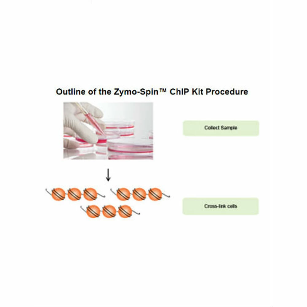 Zymo Research D5209 Zymo-Spin ChIP Kit, Zymo Research, 10 Preps/Unit secondary image