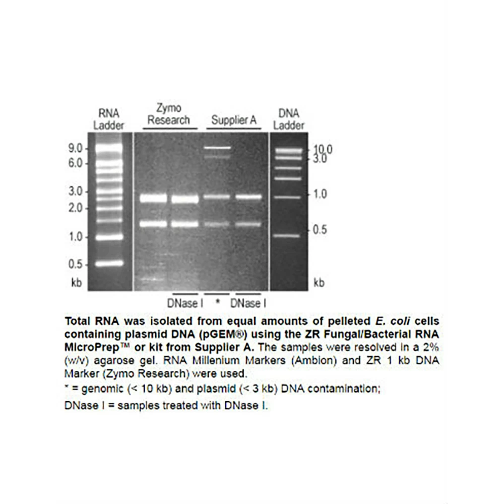 Zymo Research R2014 Quick-RNA Fungal/Bacterial Miniprep Kit, Zymo Research, 50 Preps/Unit secondary image