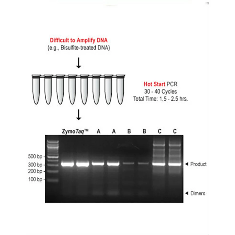 Zymo Research E2002 Zymo Taq Polymerase, Zymo Research, 200 Reactions/Unit secondary image
