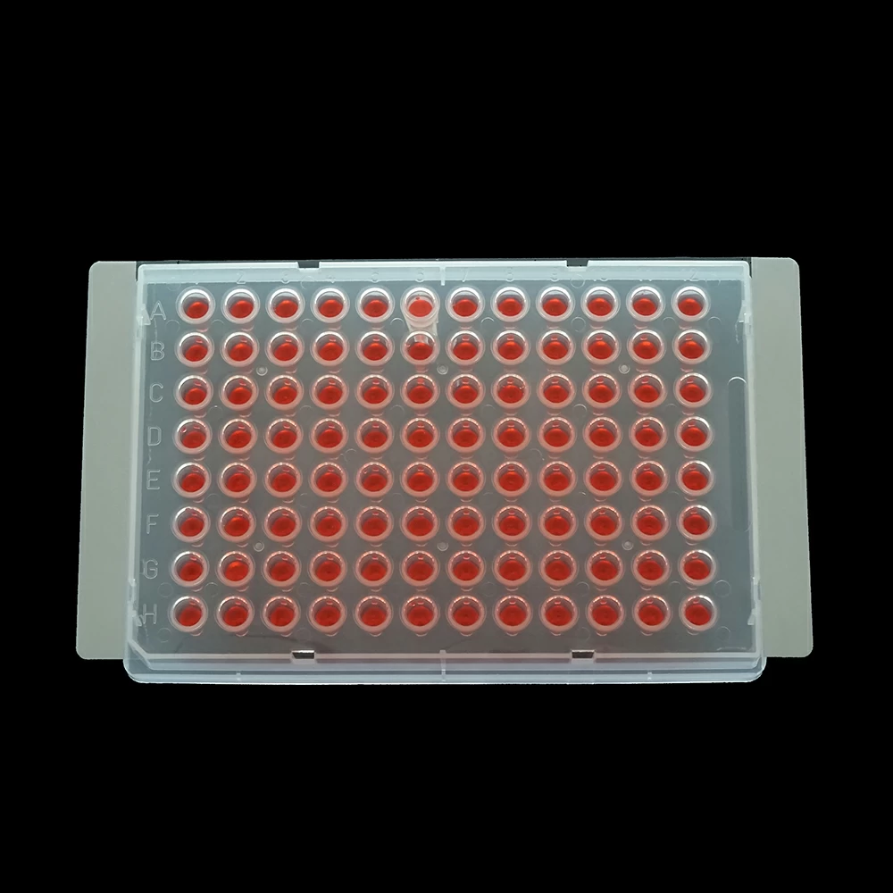 Excel Scientific XTR-LG-100, eXTReme Sealing Films, Large Cut Ideal for PCR, qPCR, & Storage, 100 Films / Unit primary image