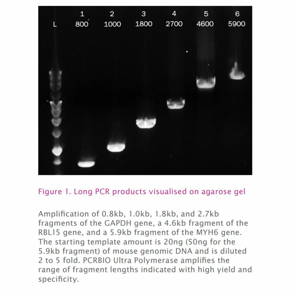 PCR Biosystems PB10.33-05 PCRBIO Ultra Mix, Red, 10 x 1ml Ultra Mix Red, 400 Reactions/Unit secondary image