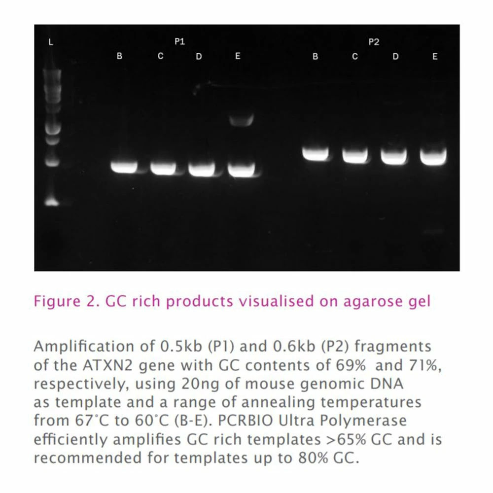 PCR Biosystems PB10.33-05 PCRBIO Ultra Mix, Red, 10 x 1ml Ultra Mix Red, 400 Reactions/Unit tertiary image