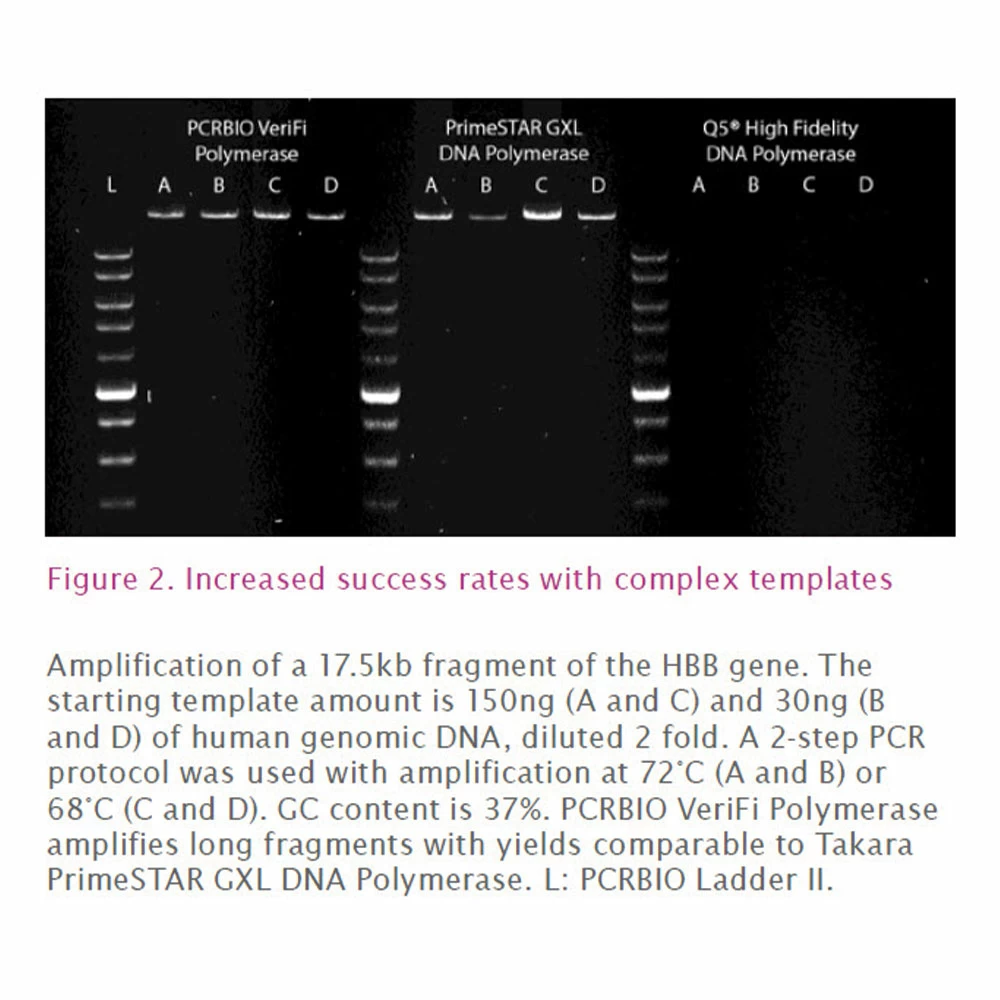 PCR Biosystems PB10.44-05 PCRBIO VeriFi