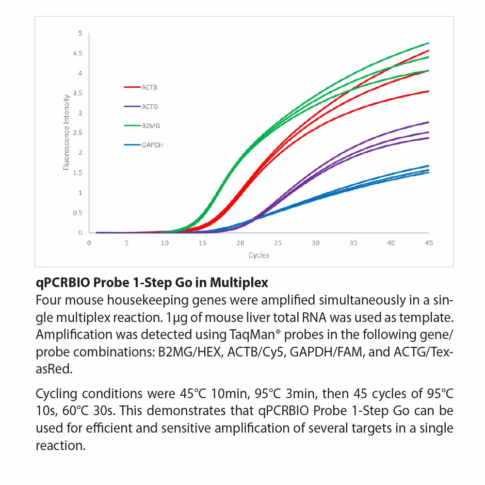 PCR Biosystems PB25.41-12 qPCRBIO Probe 1-Step Go Lo-ROX, 3 x 1ml Mix & 3 x 100ul RTase, 300 x 20ul Rxns/Unit secondary image