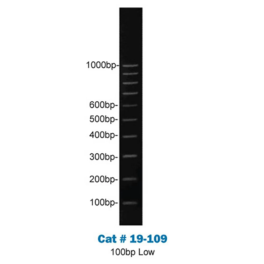 Apex Bioresearch Products 19-109 Apex 100bp-Low DNA Ladder, 200 Gel Lanes, 100bp - 1kb, 1ml/Unit tertiary image