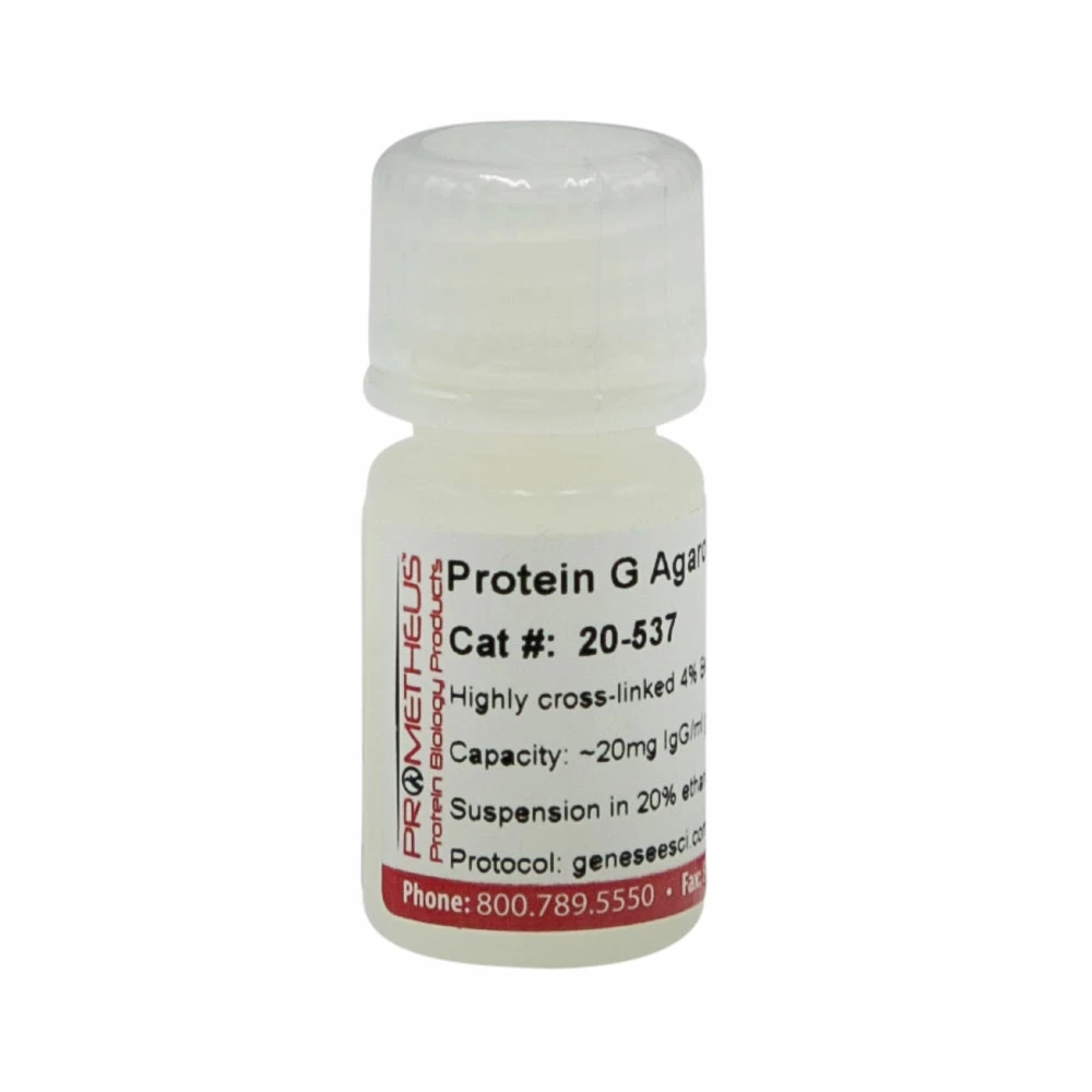 Prometheus Protein Biology Products 20-537 Protein G Agarose 4 Max Flow, Highly Cross-linked Beads, 4%, 5ml/Unit primary image