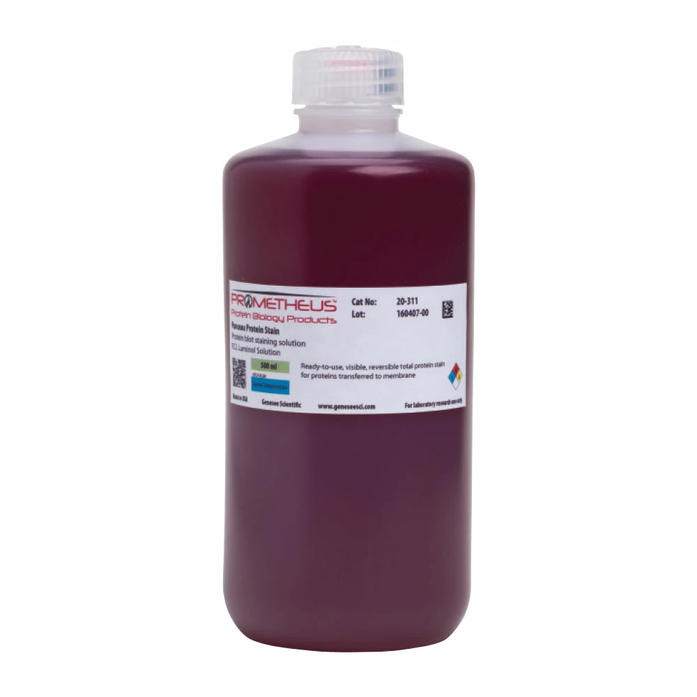 Prometheus Protein Biology Products 20-311 Ponceau Total Protein Stain, Visible, Reversible, 500ml/Unit primary image