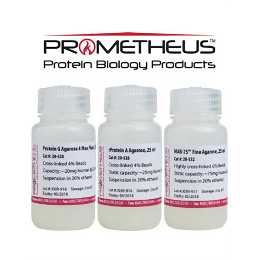 Prometheus Protein Biology Products 20-539 Protein A/G Agarose Max Flow, Highly Cross-linked Beads, 4%, 0.5ml/Unit primary image