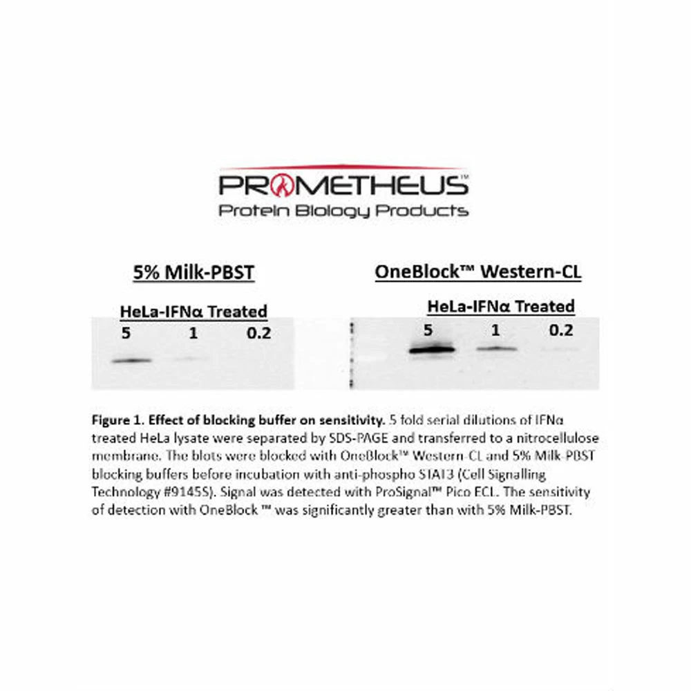 Prometheus Protein Biology Products 20-315 OneBlock