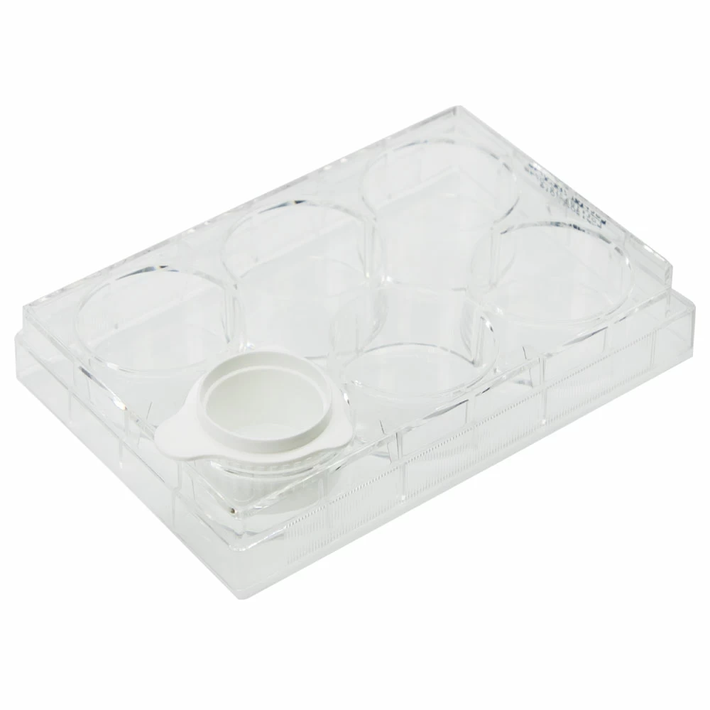 Olympus Plastics 25-376, Individually Wrapped, Sterile, 50 Cell Strainers/Unit secondary image