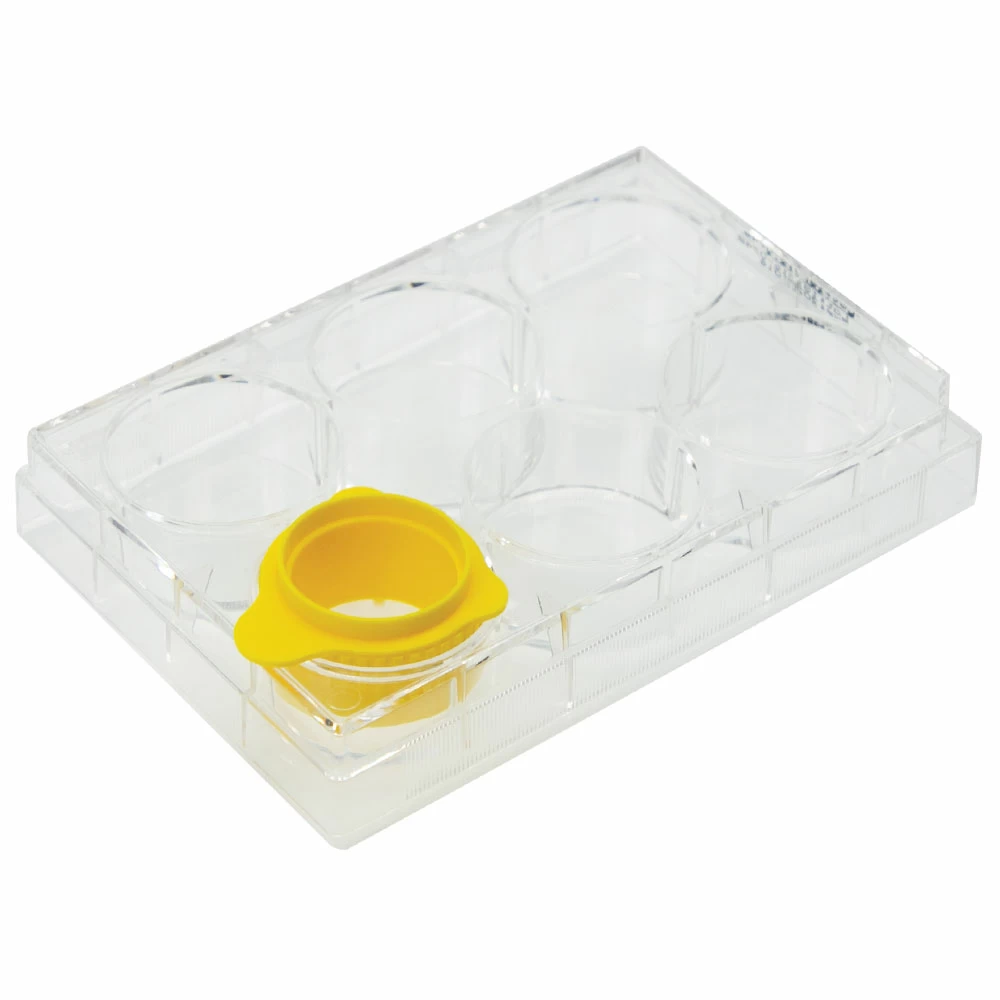 Olympus Plastics 25-377,  Individually Wrapped, Sterile, 50 Cell Strainers/Unit secondary image