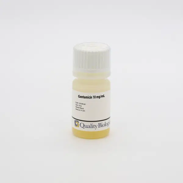 QBI 120-099-661 Gentamicin 10 mg/mL, Ready-to-use solution, 5 x 10 mL/Unit Primary Image