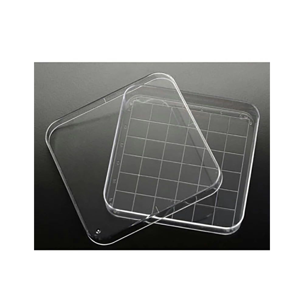 Simport D210-16, Square Petri Dish, 100 x 15mm Vented, Alphanumeric Gridlines, 10 per Sleeve, 500 Dishes/Unit primary image