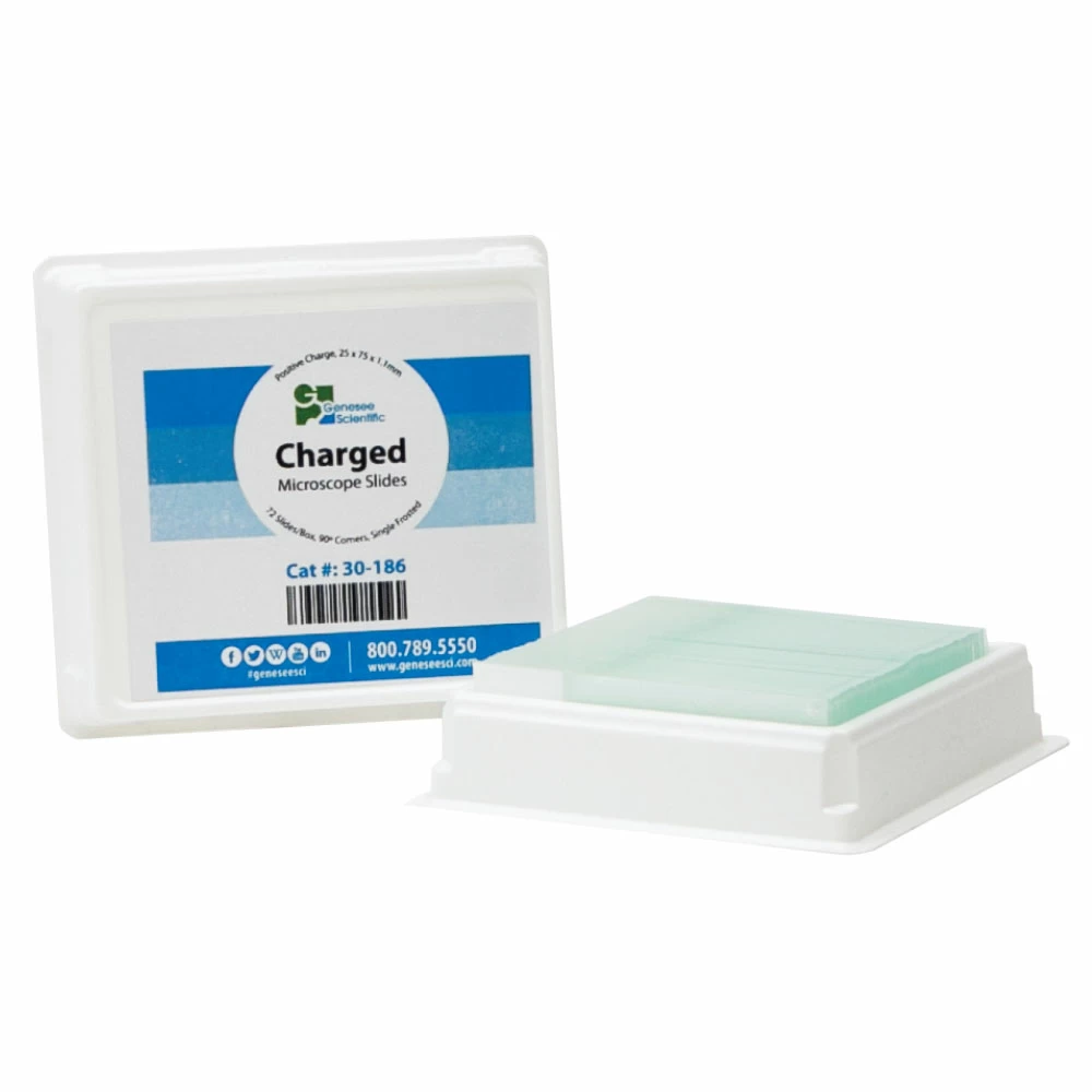 Genesee Scientific 30-186, Ground Edges, Single Frosted, 72 Slides/Unit primary image