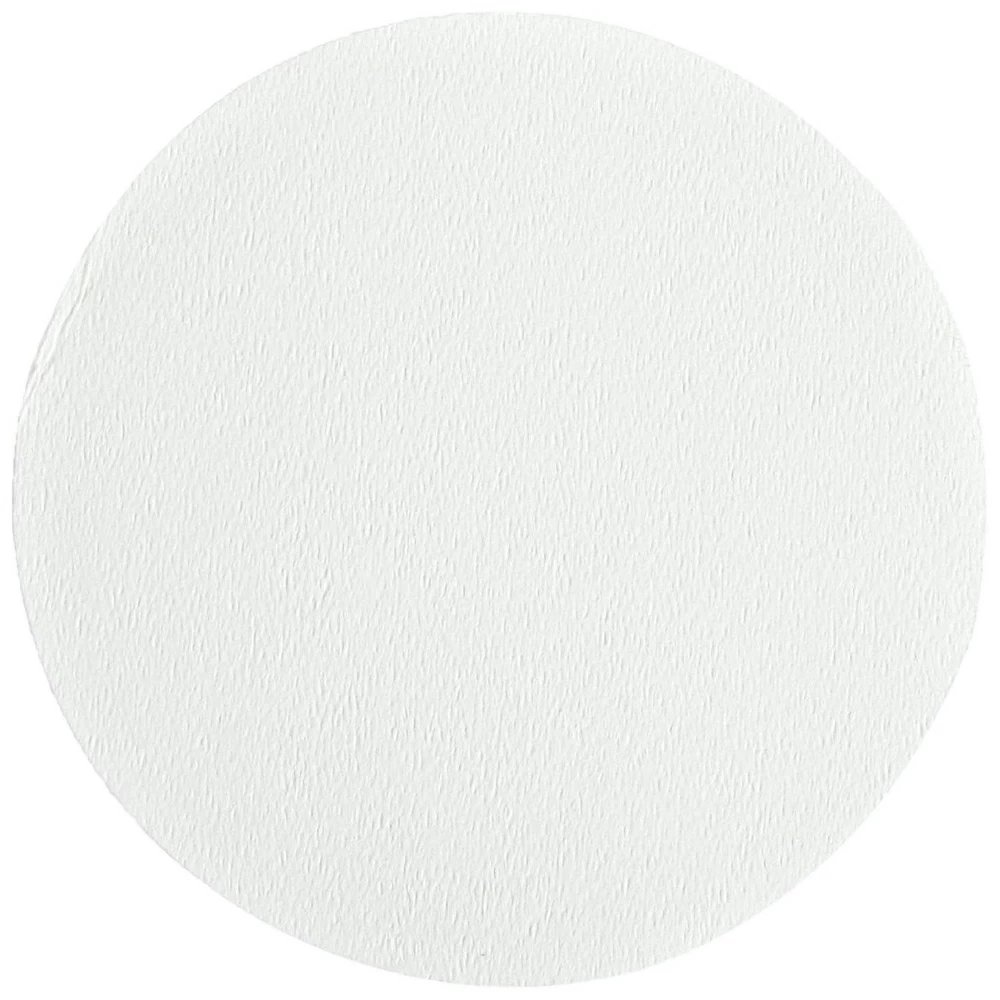 Ahlstrom 1310-1100 Binder-Free Glass Microfiber Filters, Grade 131, 11cm, 100/Unit secondary image