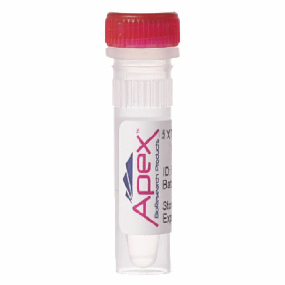 Apex Bioresearch Products 42-702D Apex 5X cDNA Synthesis Supermix, First-strand cDNA synthesis, 500 x 20ul Reactions/Unit primary image