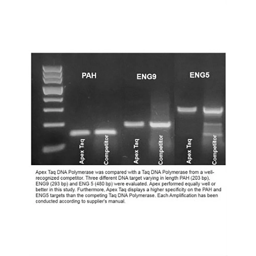 Apex Bioresearch Products 42-801B1 Apex Taq, 1,000Units, 5u/ul, 10X Standard & NH4 Buffers, 2 x 500u/Unit secondary image