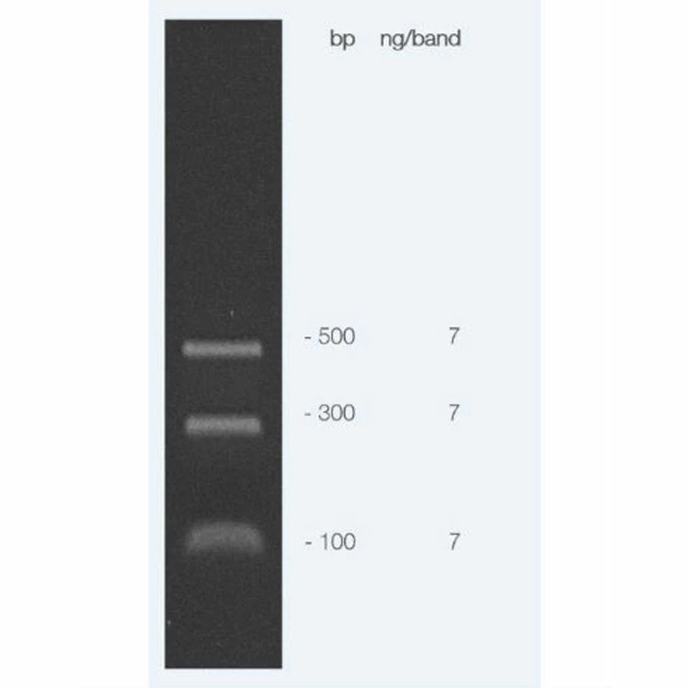 Apex Bioresearch Products 19-130 Apex ECON Mini DNA Ladder, 100 Lanes, 100bp-300bp-500bp, 0.5ml/Unit secondary image
