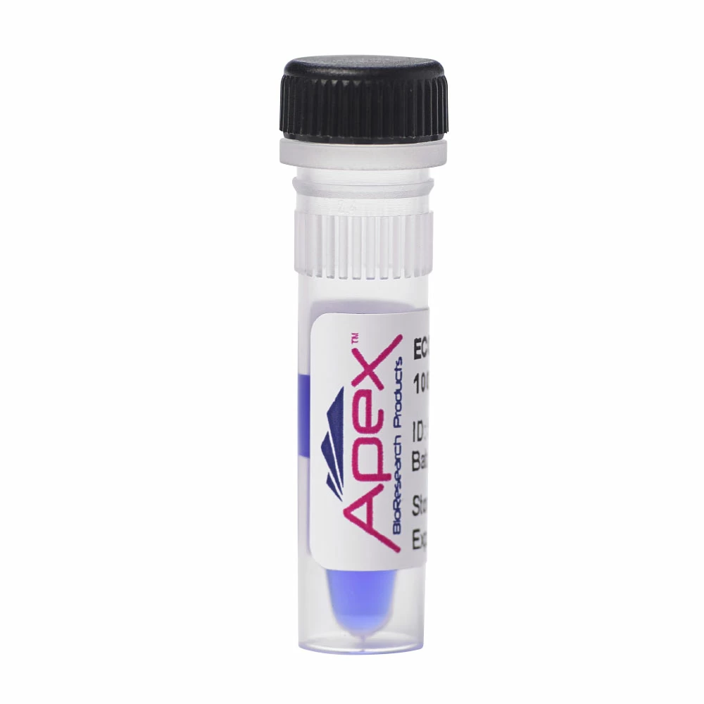 Apex Bioresearch Products 19-132 Apex ECON PCR DNA Ladder, 100 Lanes, 100bp - 3000bp, 0.5ml/Unit primary image
