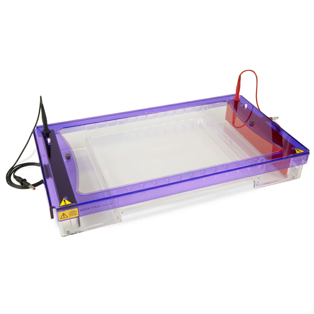 Genesee Scientific 45-104 High Capacity Horizontal Gel Box, 26 x 32cm, 1 Gel Box/Unit secondary image