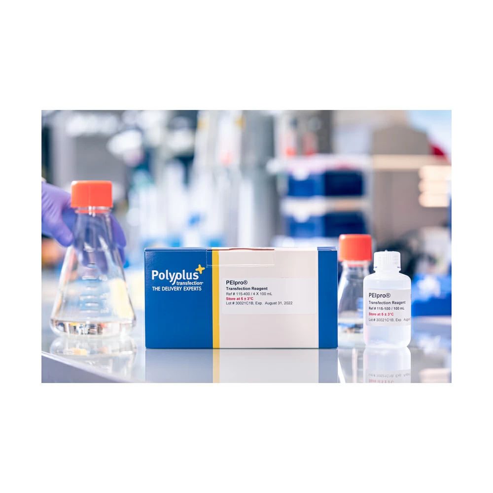 Polyplus-Transfection 101000026 PEIpro