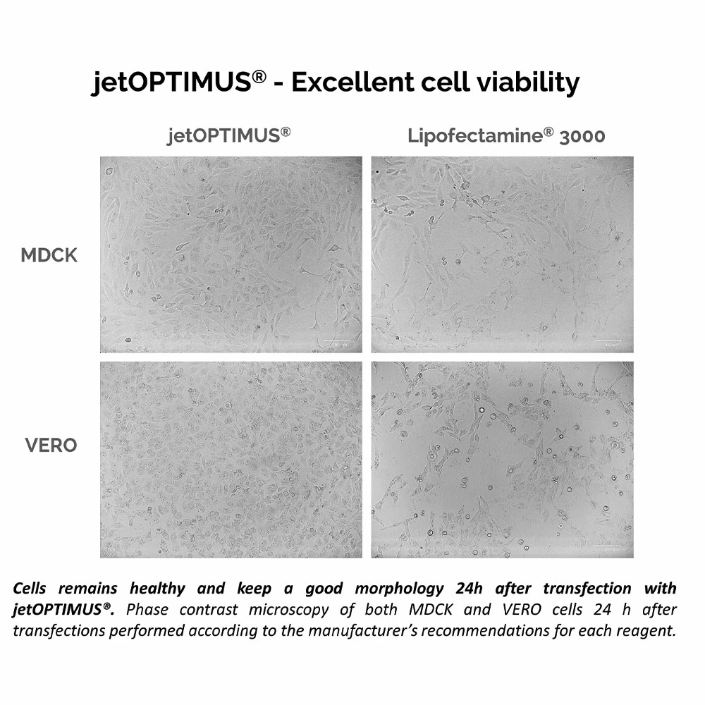 Polyplus-transfection 101000006 jetOPTIMUS