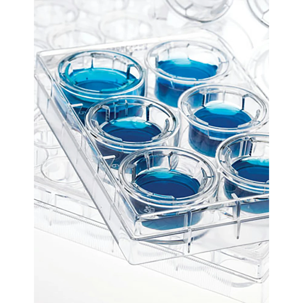 GenClone 25-281, 1