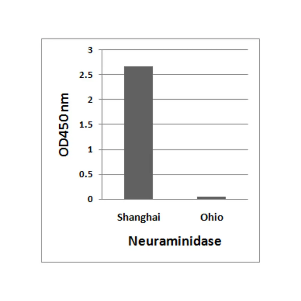 ProSci 7827_S Avian Influenza A H7N9 Neuraminidase Antibody, ProSci, 0.02 mg/Unit Primary Image