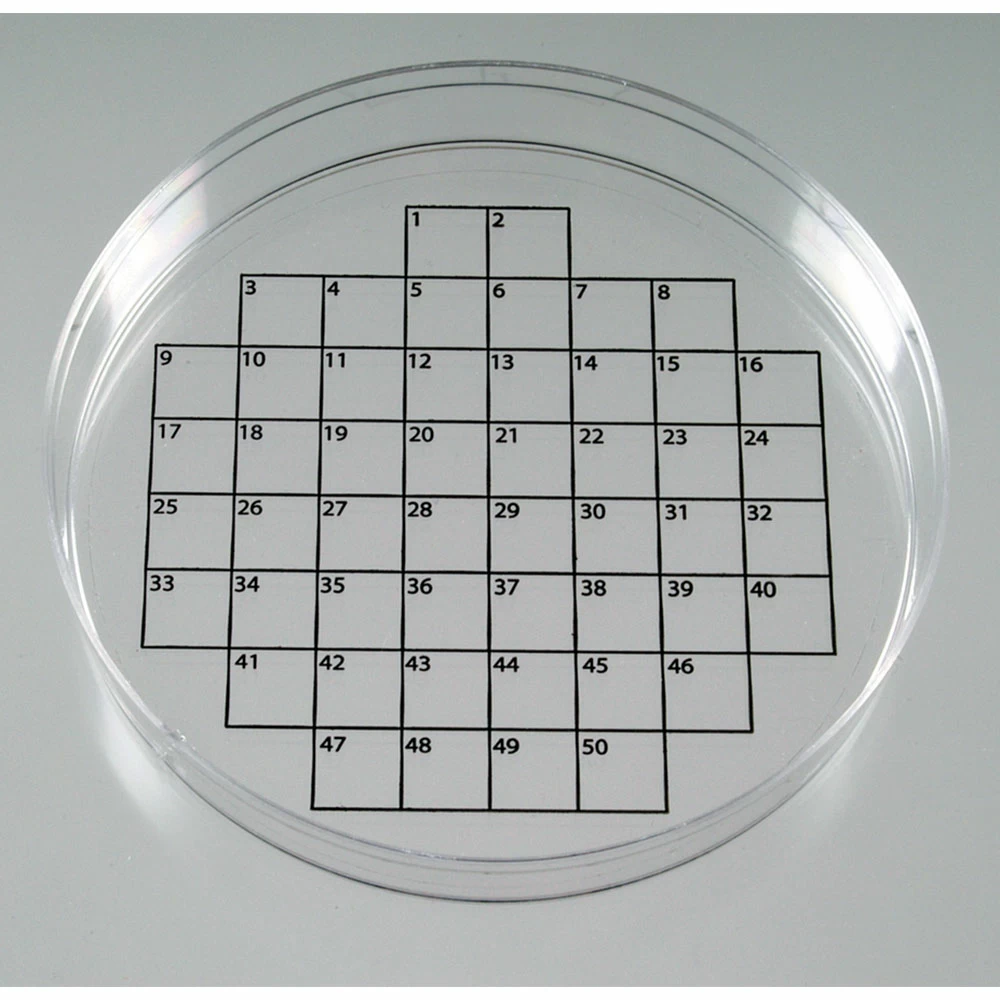 Diversified Biotech PSTK-1050, 50-square grid, 36/Unit secondary image
