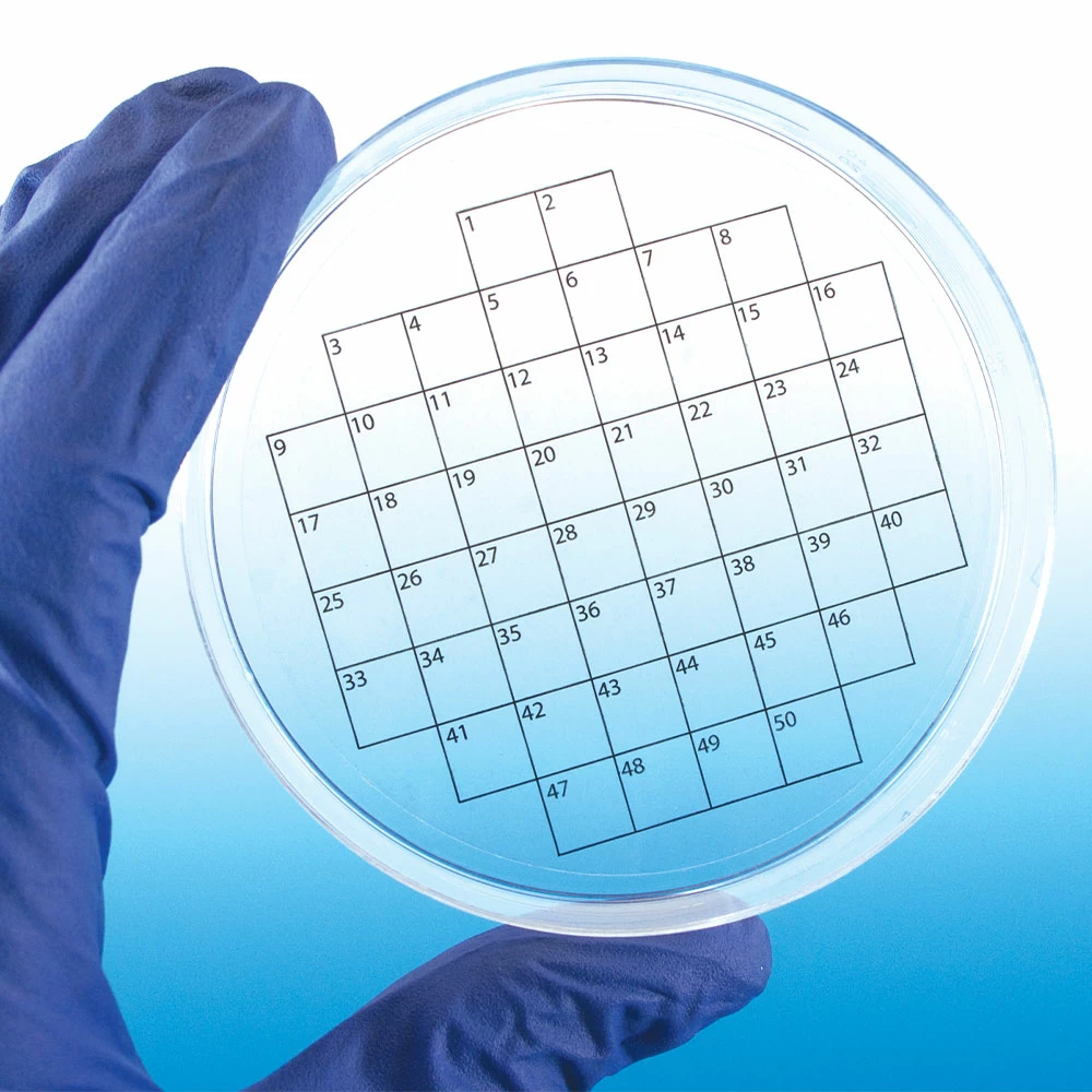 Diversified Biotech PSTK-1050, 50-square grid, 36/Unit tertiary image