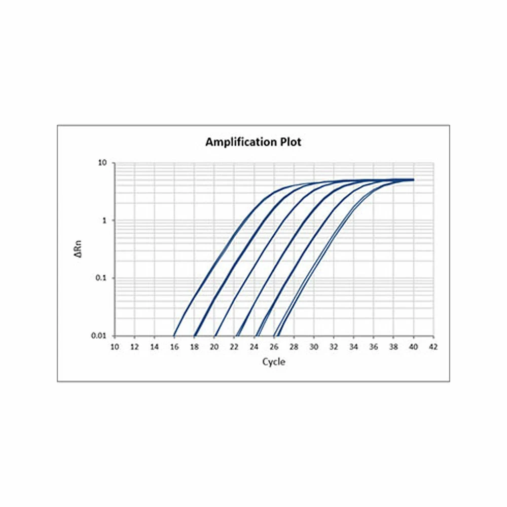 Apex Bioresearch Products A325402 Apex qPCR GREEN Master Mix, 2X, High ROX, 5ml, 400 x 25