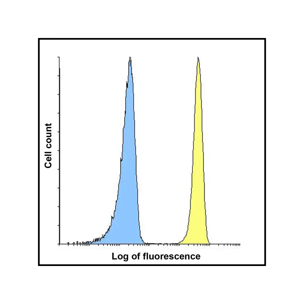 ProSci RF16093 B7H3 Antibody [4H3], ProSci, 0.1 mg/Unit Senary Image