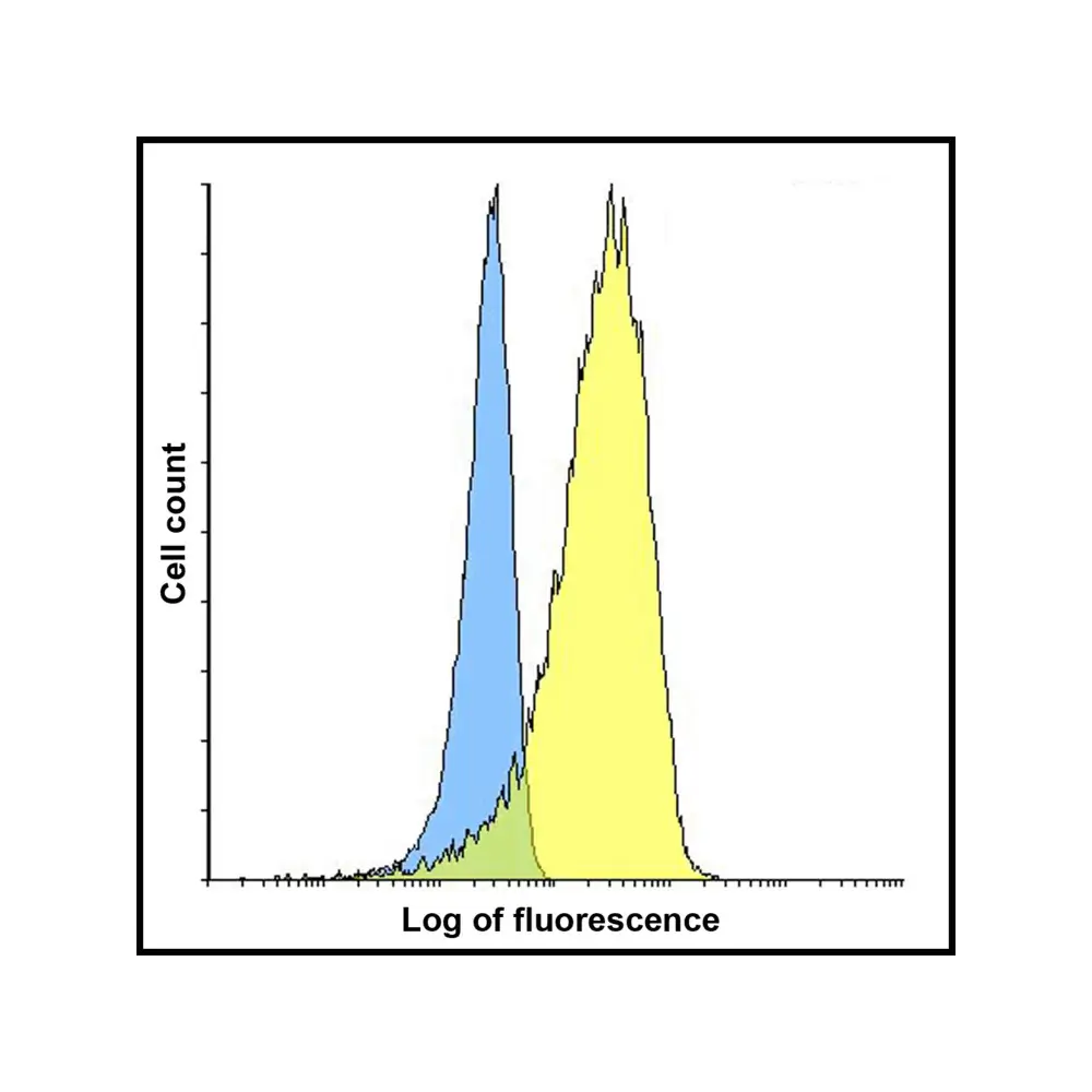 ProSci RF16061_S LIGHT Antibody [7B9F12], ProSci, 0.02 mg/Unit Senary Image